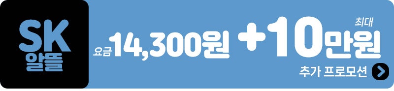 KT 45만원 + 10만원